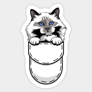 Funny Birman Pocket Cat Sticker